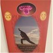 Profesor, Maestro 
De Alomea Adeyoe 

Con 30 Años de experiencia.