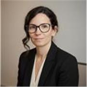 I am an advanced English speaker with experience teaching children in summer camps, currently seeking to support school-age studen