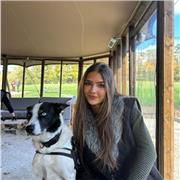 Patient, bubbly and dedicated. Looking to help out students from a range of ages (primary to A level)  to further their history.