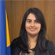 Profesional para apoyo escolar y universitario en matemáticas