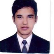 profesor de sistemas