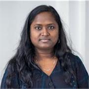 Online Law Tutoring for Students of All Levels