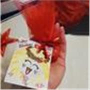 Sono stata una studentessa di Firenze di ingegneria edile laureandomi come tale, ho esperienza nelle riparazioni con ragazzi. 