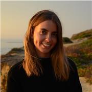 Clases particulares online de programación web