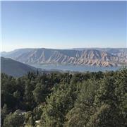 I have completed my education with English as a first language. Good with communication skills and advanced learning