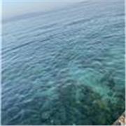 Cours de soutien scolaire, aide aux devoirs etc niveau collège