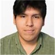 Maestro/a Online – Horarios flexibles y buen ingreso