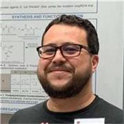 Profesor de inglés bilingüe online