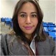 docente y apoyo en tareas escolares nivel primaria en español y matemáticas