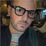 Studente di ingegneria aereospaziale offre lezioni di matematica di base