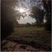 Profesora de español para niños y adolescentes