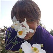 Charlas online en italiano (nativo) para mejorar tus capacidades de diálogo!