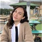 I am an experienced publishing professional helping students with English lessons