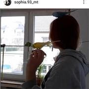 Sophia