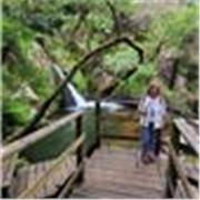 Profesora y directora con más de 20 años de experiencia. He vivido y trabajado mundo internacional. Alumnos de primar/sec yadultos