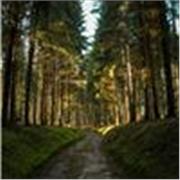 Conoscitrice di Lingua Inglese, Viaggi e nuove Culture da scoprire