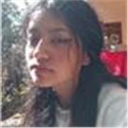 Profesor particular clases de apoyo para asignaturas de Turismo y hotelería adicional uso de excel