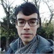 Profesor de inglés con experiencia en clases particulares