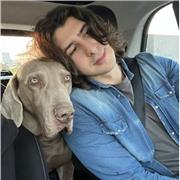 Mavi
