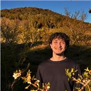 Sei alla ricerca di un tutor/insegnante che ti possa far imparare con metodi alternativi ed essere pronto per un esame? Contattami