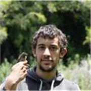 Profesor de Estadística orientado a Ciencias Médicas, Biologicas, Químicas y Sociales