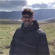 Ripetizioni per C , Python, HTML,CSS