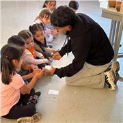 ¿Necesitas ayuda para entender física o matemáticas? Te puedo apoyar con explicaciones claras, resolución de ejercicios y preparac