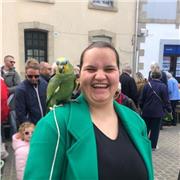 Cour de soutien pour les élèves de primaire en difficulté ou cour d’approfondissement pour les élèves avec des facilités