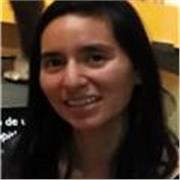 Enseñanza de las matemáticas desde nivel básico hasta doctorado