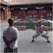 Más de 13 años de experiencia practicando kung fu.