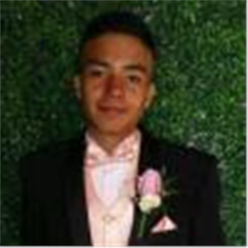 user photo