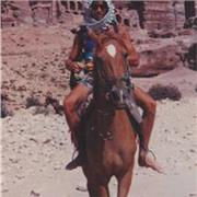 58 anni, 8 lauree, maieutica personalizzata per ogni studente. Foligno.