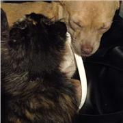 Estoy estudiando bachillerato y me gustaría dar clases a niños de primaria y secundaria