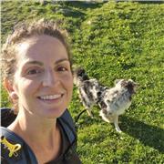 Insegnante di matematica e scienze presso scuola media