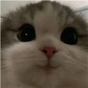 Profesor joven y origen en China, con buena comunicación y estudios de bachillerato y primer año de carrera