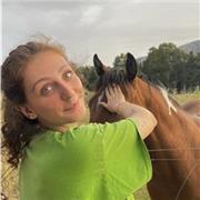 Aide aux devoirs, cours privés, peu importe l'âge