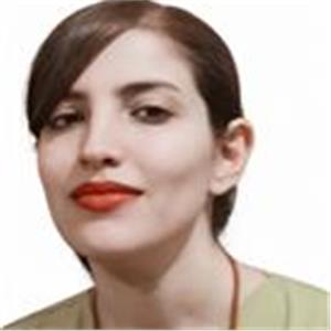 Asrin Hosseinpour