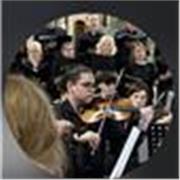 Insegnante di Violino, armonia base (livello medie/liceo) musica