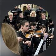 Insegnante di Violino, armonia base (livello medie/liceo) musica