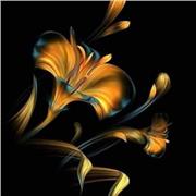 Sumera