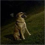 Se hai bisogno aiuto per i compiti sono a tua disposizione