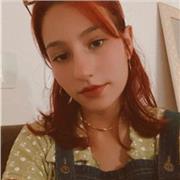 Aulas online de Inglês e História para alunos a partir de 12 anos de idade