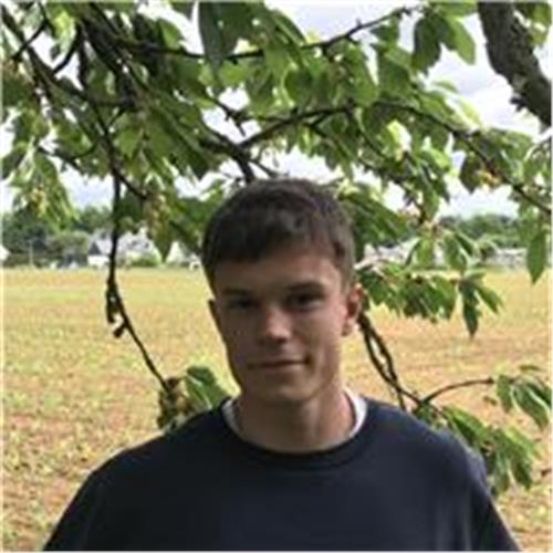 user photo