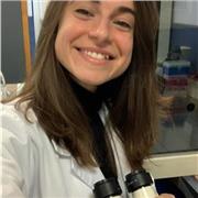 Profesora graduada en Veterinaria en la UCM, con experiencia de más de 3 años dando clases con opción de dar clases online