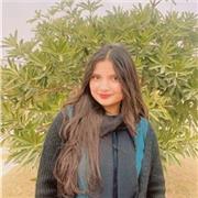 Mathematics tutor, guiding students to understand, learn, solve problems.