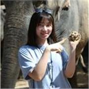 I give affordable Chinese lessons (both Cantonese and Mandarin) for GCSE students