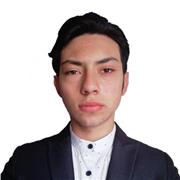 Profesor de matemáticas tanto para niños, como jóvenes y adultos