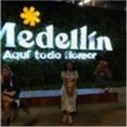 Docente para niños de primaria y secundaria; Jóvenes y adolecentes