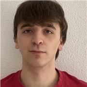 Profesor para primaria con gran capacidad de educación en todas las asignaturas, en especial de lengua,historia y matemáticas.