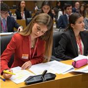 Daré clases a estudiantes de Primaria y ESO que necesiten reforzar materias o preparar exámenes.